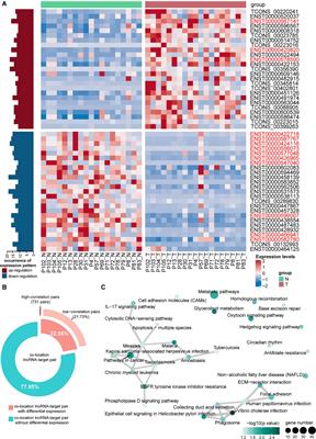 Long Non-coding RNA BTG3-7:1 and JUND Co-regulate C21ORF91 to Promote Triple-Negative Breast Cancer Progress